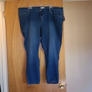 Brand New Women's Blue Jeans